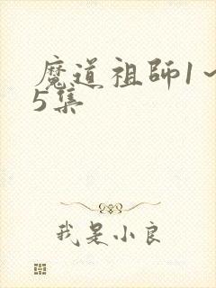 魔道祖师1～35集