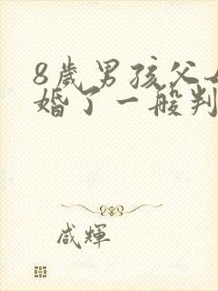 8岁男孩父母离婚了一般判给谁