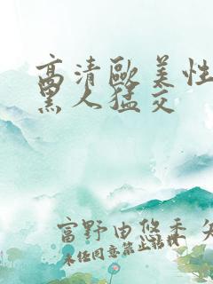 高清欧美性猛交黑人猛交