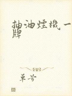 抽油烟机一线品牌