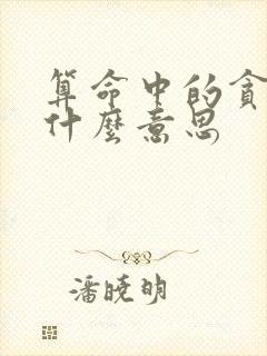 算命中的贪狼是什么意思