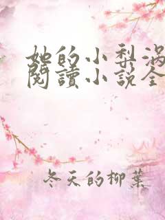 她的小梨涡在线阅读小说全集免费