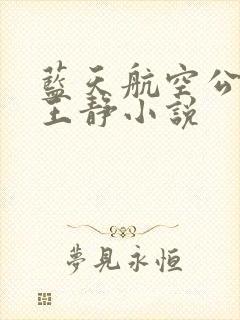 蓝天航空公司的王静小说