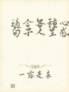 适合各种心情的句子人生感悟