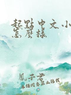 起点中文小说网怎么样