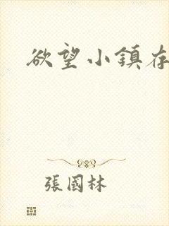 欲望小镇存档
