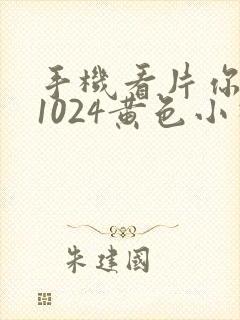 手机看片你懂吗1024黄色小视频