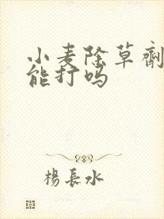 小麦除草剂中午能打吗 小麦除草剂中午能打吗