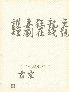 护妻狂龙免费的短剧在线观看完整版