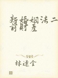 新婚姻法二婚婚前财产