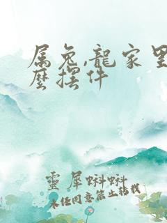 属兔,龙家里什么摆件