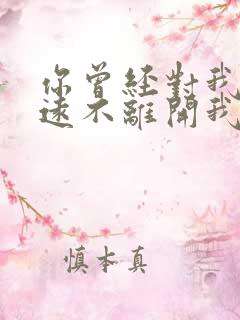 你曾经对我说永远不离开我是什么歌