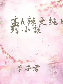 高h辣文纯肉系列小说