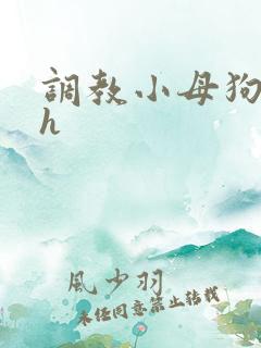 调教小母狗小说h