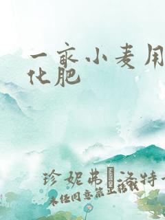 一亩小麦用多少化肥