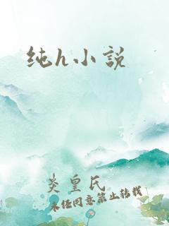 纯h小说