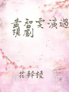 黄智雯演过的电视剧