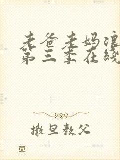 老爸老妈浪漫史第三季在线播放