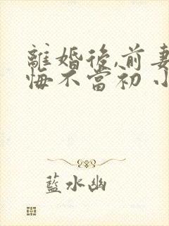离婚后,前妻她悔不当初 小说