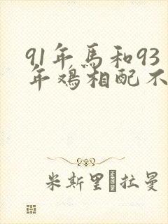 91年马和93年鸡相配不