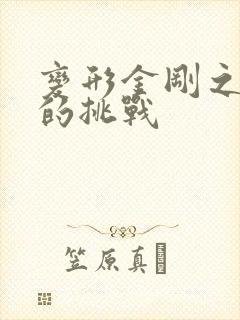 变形金刚之领袖的挑战