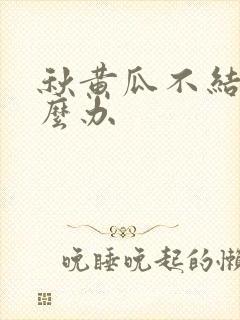 秋黄瓜不结瓜怎么办