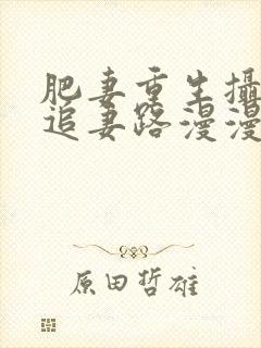 肥妻重生摄政王追妻路漫漫小说
