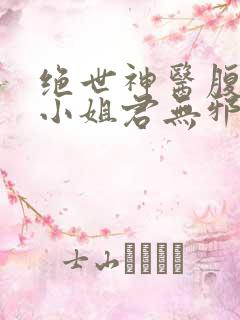 绝世神医腹黑大小姐君无邪小说