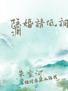 隐婚请低调傅庭渊
