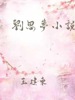 刘思梦小说阅读