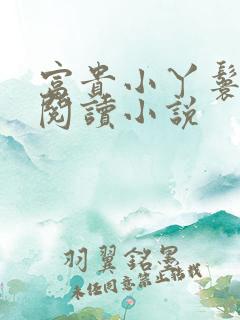 富贵小丫鬟在线阅读小说