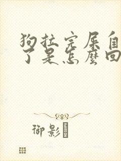 狗拉完屎自己吃了是怎么回事