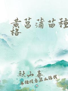 黄菖蒲苗种苗价格