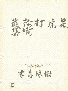 武松打虎是第几集啊