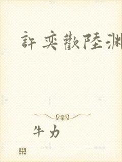 许奕欢陆渊