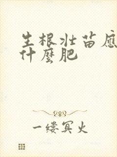 生根壮苗应该用什么肥