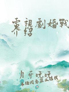 电视剧婚战剧情介绍