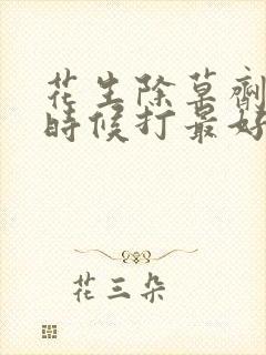 花生除草剂什么时候打最好