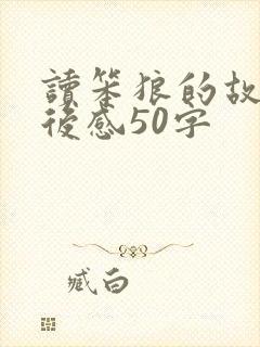 读笨狼的故事读后感50字