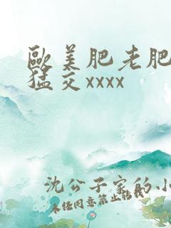 欧美肥老肥婆性猛交xxxx