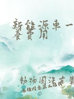 新能源车一年保养费用