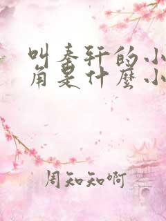 叫秦轩的小说主角是什么小说