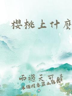 樱桃上什么肥甜