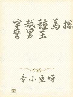 穿越种马总受掰弯男主