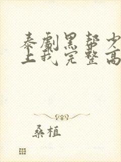 泰剧黑帮少爷爱上我完整高清版