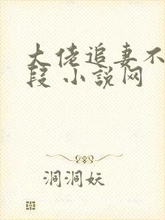 大佬追妻不择手段 小说网