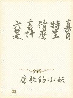 六畜猜特真天子是什么生肖