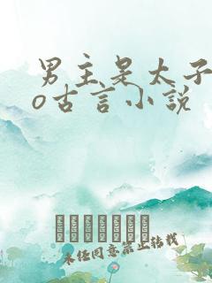 男主是太子的po古言小说