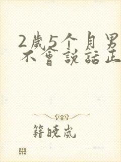 2岁5个月男孩不会说话正常吗?