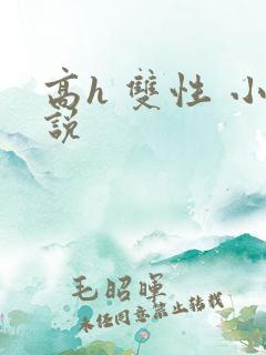 高h 双性 小说